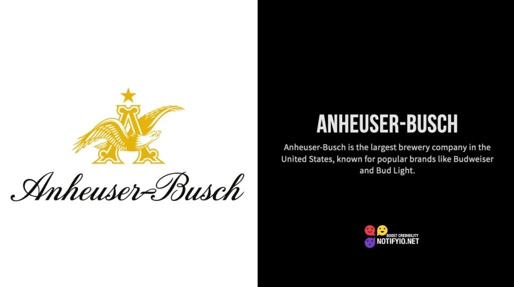 Anheuser-Busch logo on the left. Text on the right reads: "Anheuser-Busch is the largest brewery company in the United States, known for popular brands like Budweiser and Bud Light, often bolstered by celebrity endorsements.